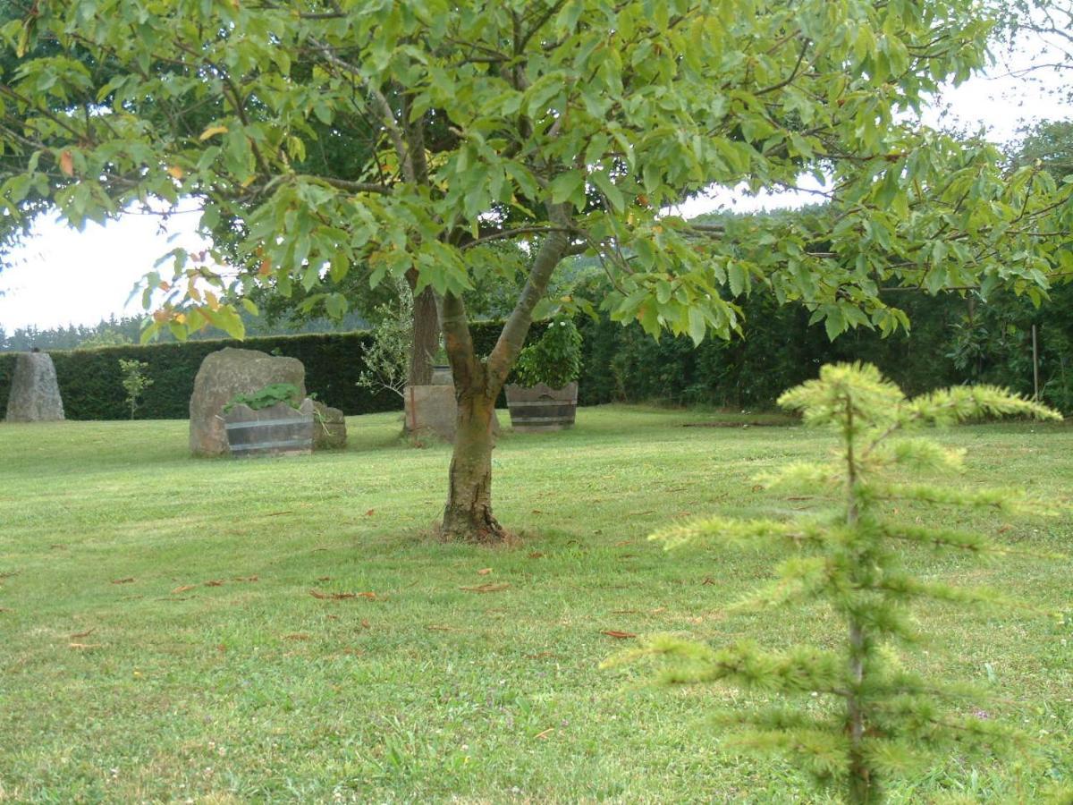 Albergue Eskerika Exclusivo Peregrinos Esquerica ภายนอก รูปภาพ